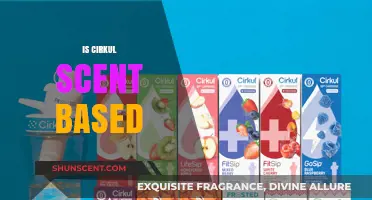 Is Cirkul Scent-Based? Exploring the Aromatic Truth Behind the Brand