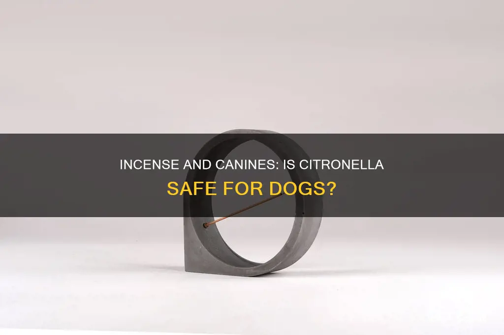 is citronella incense safe for dogs