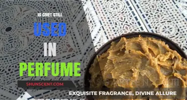 Civet in Perfume: Is It Still Used?