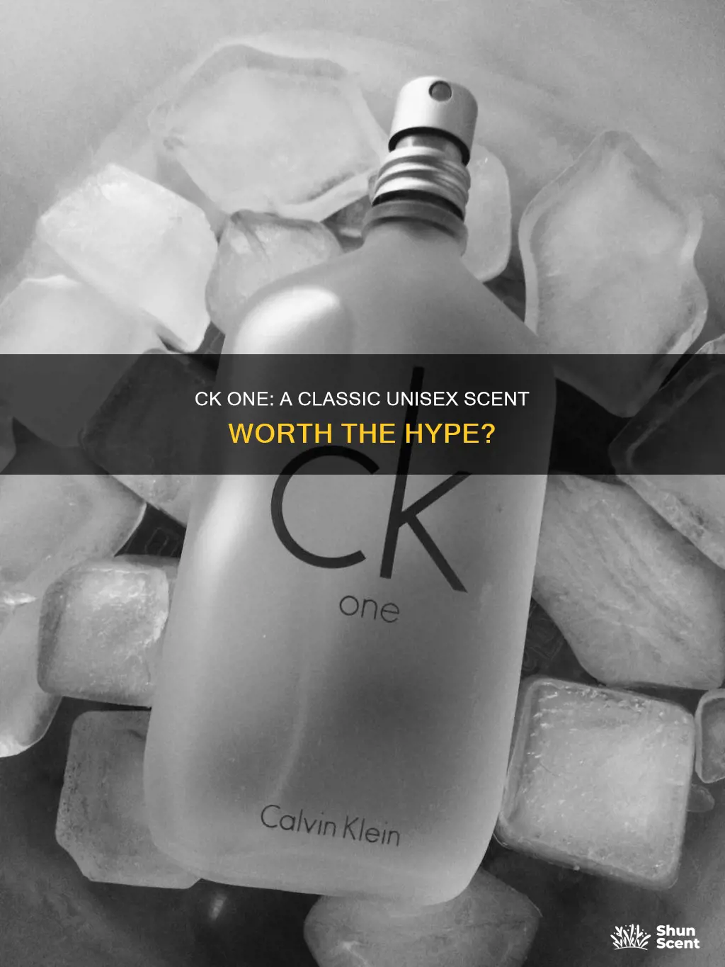 is ck one a good cologne