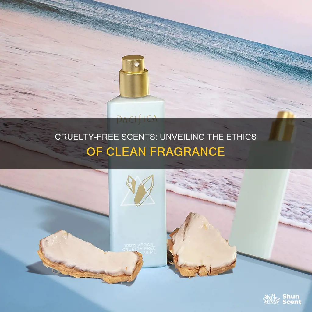 is clean fragrance cruelty free