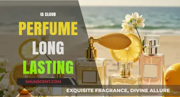 The Cloud Perfume: Long-Lasting Scent?