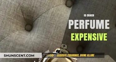Coach Perfume: Is It Worth the Price?