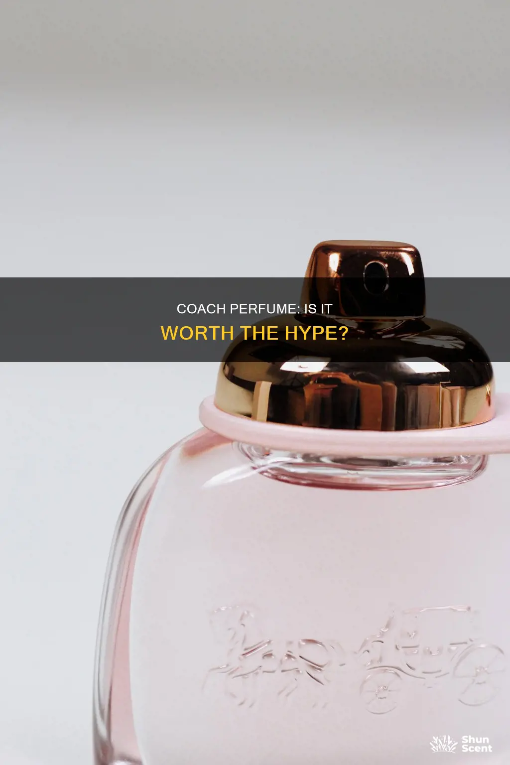 is coach perfume good