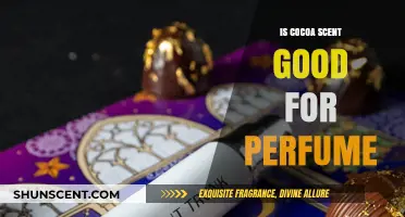 Cocoa Scent: The Sweet Side of Perfume