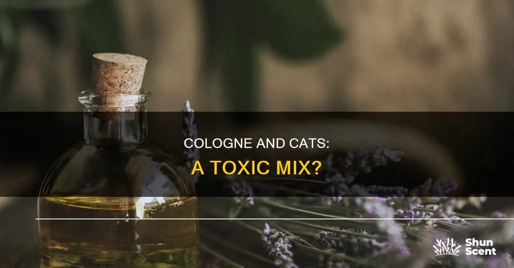 is cologne bad for cats