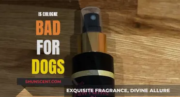 Cologne and Dogs: A Toxic Mix?