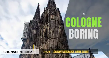 The Cologne Conundrum: Is It a Boring City?