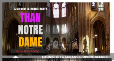 Cologne Cathedral vs Notre Dame: A Size Comparison