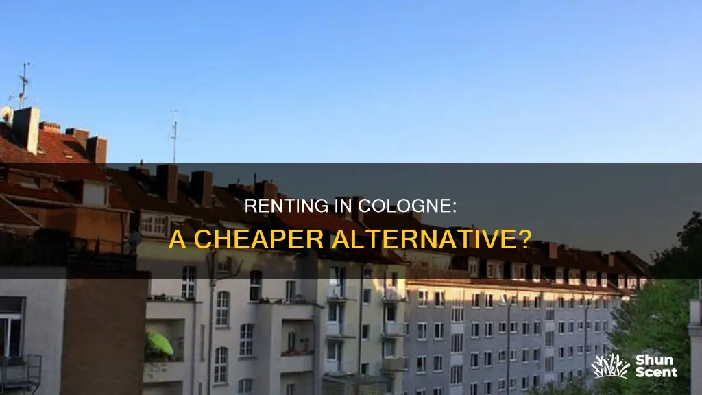 is cologne cheaper to rent