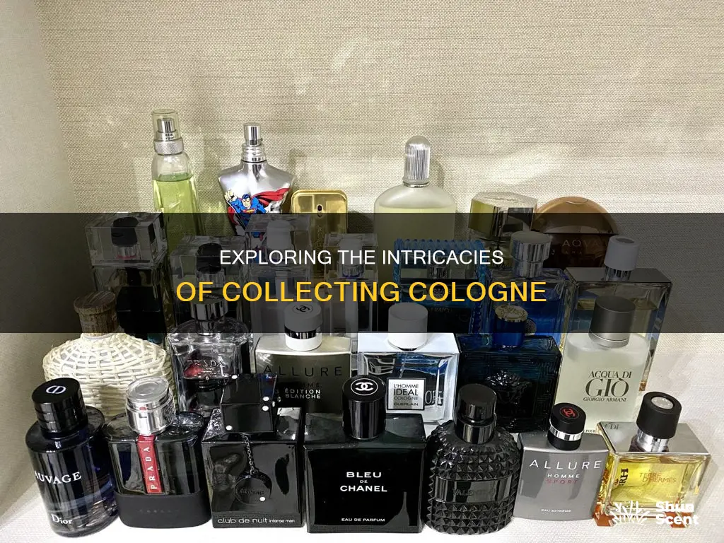 is cologne collecting worth it