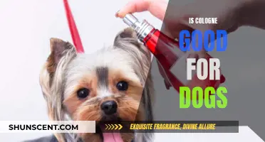 Colognes for Dogs: Safe or Not?