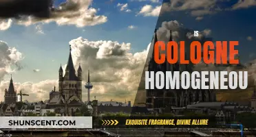 The Diversity of Cologne: A Complex Cultural Mosaic