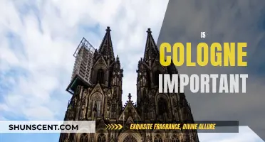 Cologne: Why It's Important and How to Choose Yours