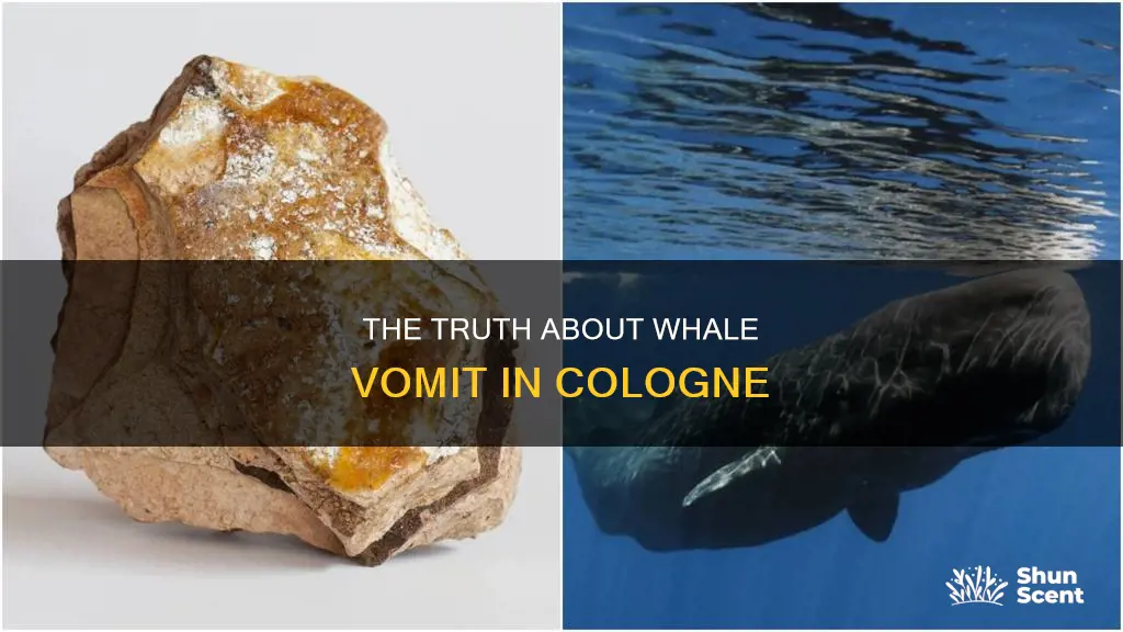 is cologne made out of whale vomit