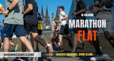 Cologne Marathon: Fast and Flat Course