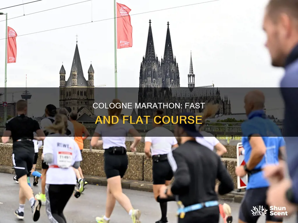 is cologne marathon flat