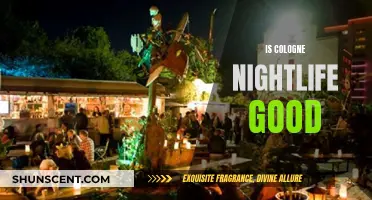 Cologne Nightlife: A Fun and Vibrant Experience?