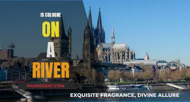 Cologne: A Cultural Hub on the Rhine River