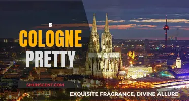 Exploring Cologne's Beauty and Charm