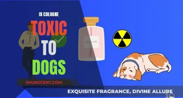 Cologne and Dogs: Toxic or Safe?