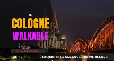 Exploring Cologne: A Walkable City Experience