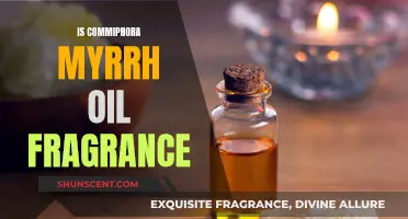 Mysterious Myrrh: Exploring the Fragrant Power of Commiphora Oil