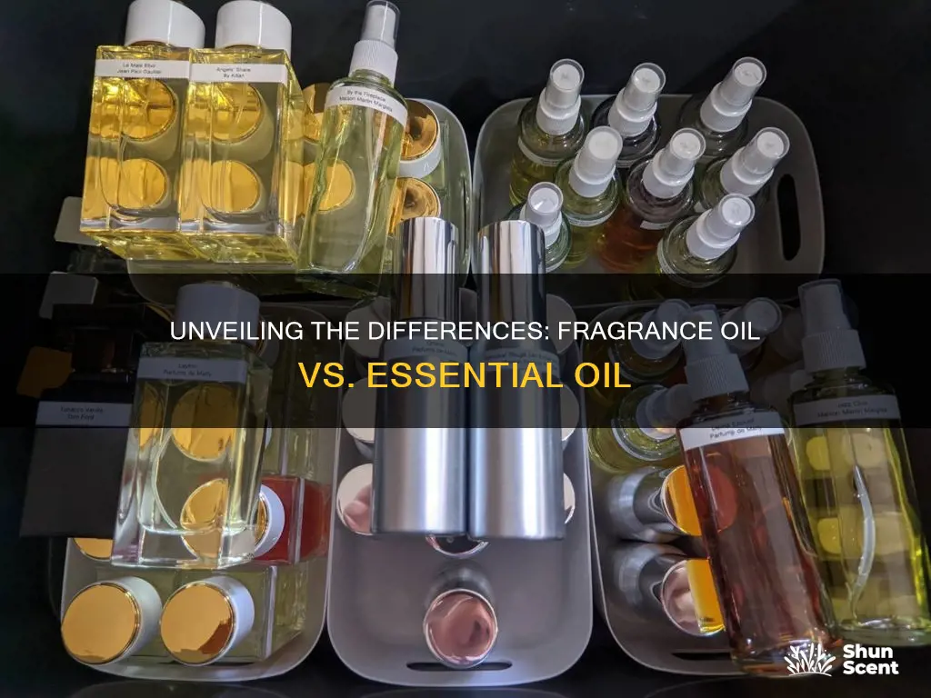 is concentrated fragrance oil the same as essential oil