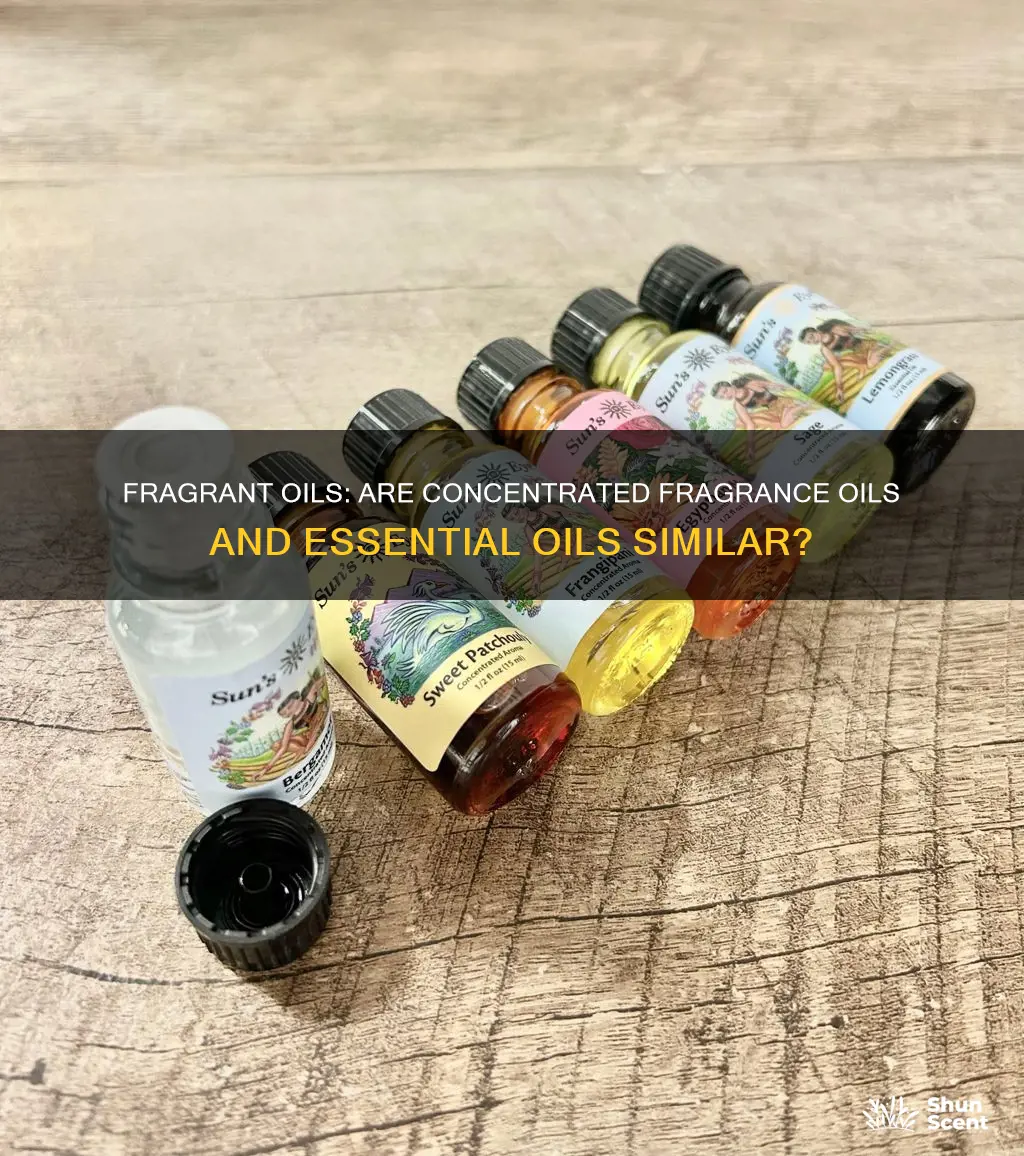 is concentrated fragrance oil the same as essential oil