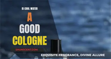 Cool Water: A Timeless, Classic Cologne for Men?