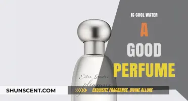 Cool Water: A Classic Scent for Men?