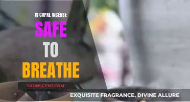 Incense Safety: Is Copal Incense Safe to Breathe?