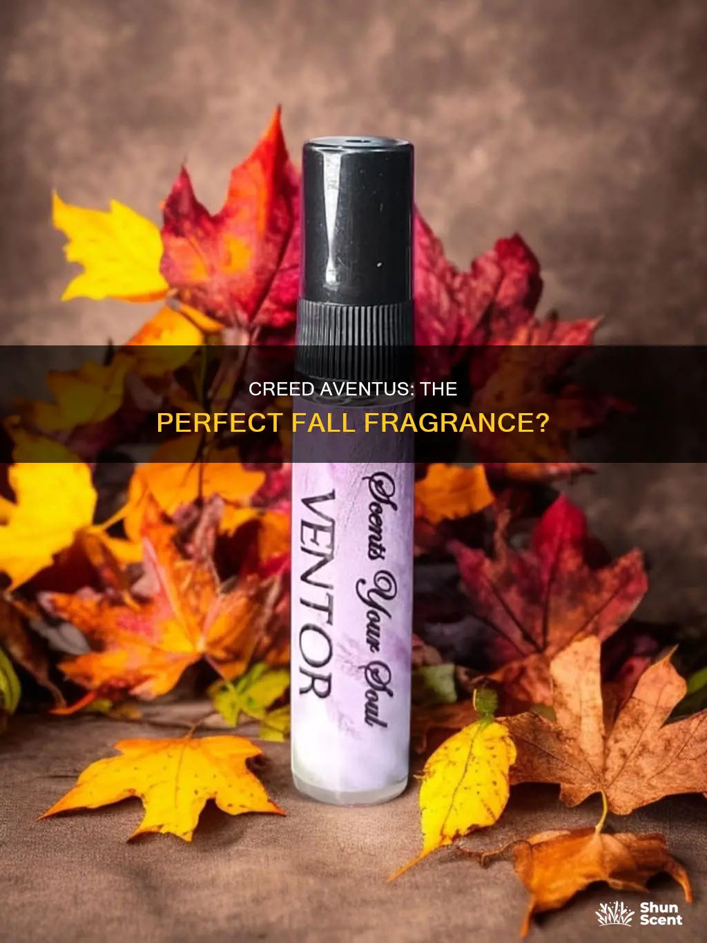 is creed aventus a perfume good for fall