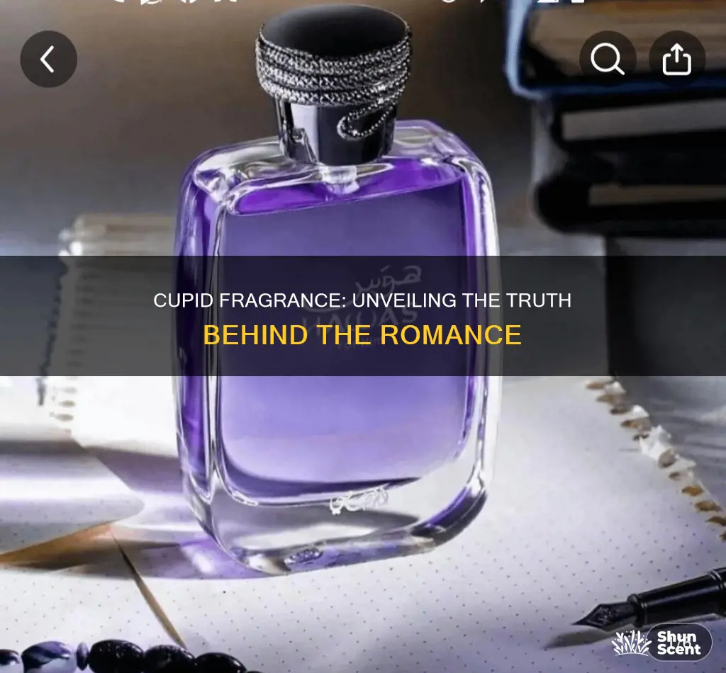 is cupid fragrance a scam