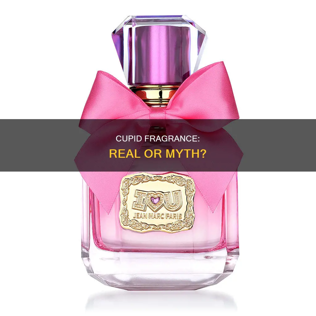 is cupid fragrance real