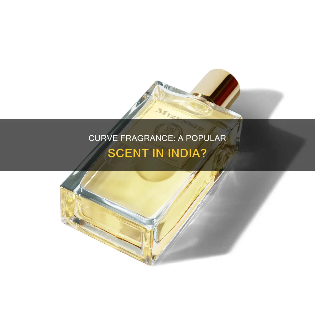 is curve a fragrance popular brand in india