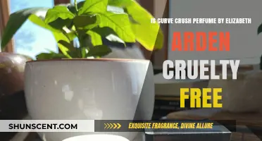 Cruelty-Free Curve Crush by Elizabeth Arden: The Truth