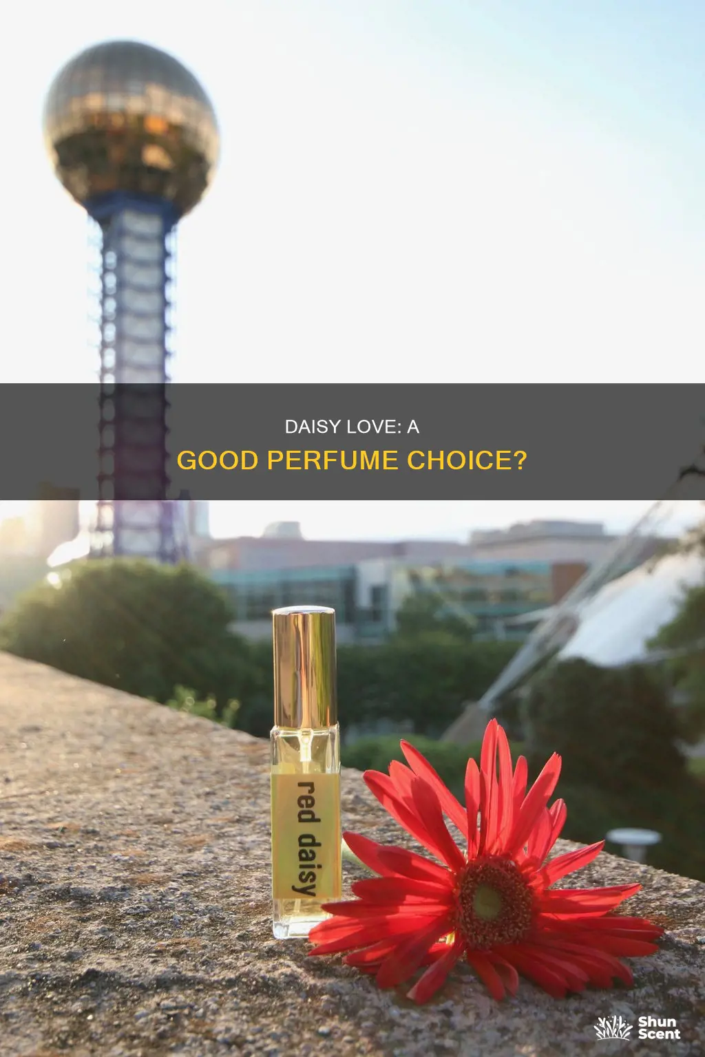 is daisy love a good perfume