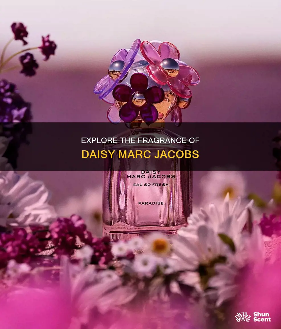 is daisy marc jacobs perfume