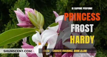 Daphne Perfume Princess: Hardy or Not?
