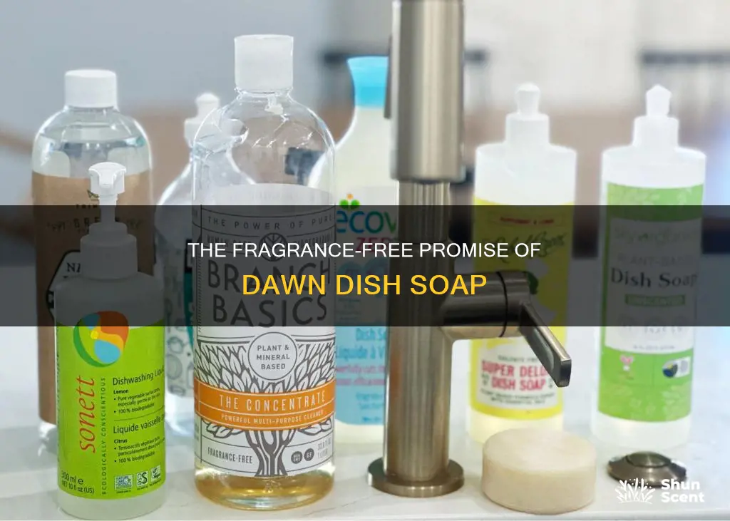 is dawn dish soap fragrance free
