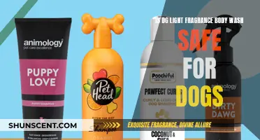 Is DG Light Fragrance Body Wash Safe for Dogs? Unveiling the Truth