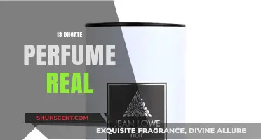 Authentic or Fake: The Truth About DHgate Perfumes