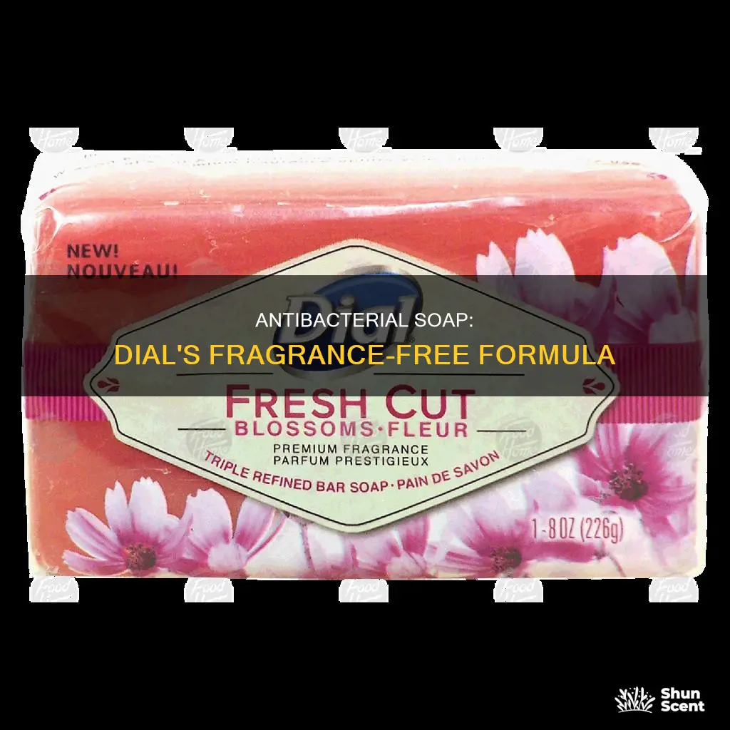 is dial antibacterial soap fragrance free