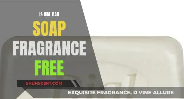 Dial Bar Soap: Unveiling the Scent-Free Secret