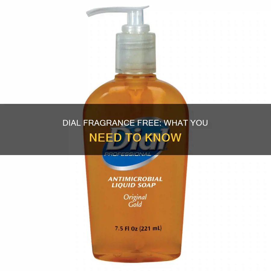 is dial fragrance free
