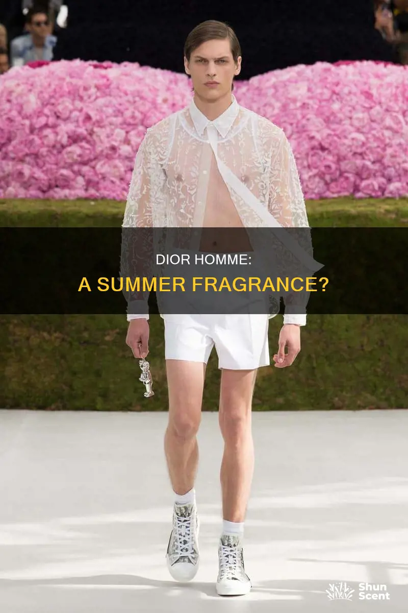 is dior homme a summer fragrance