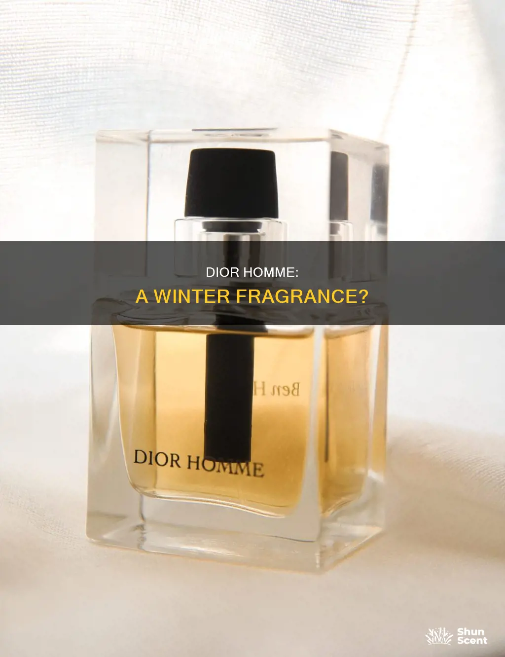 is dior homme a winter fragrance