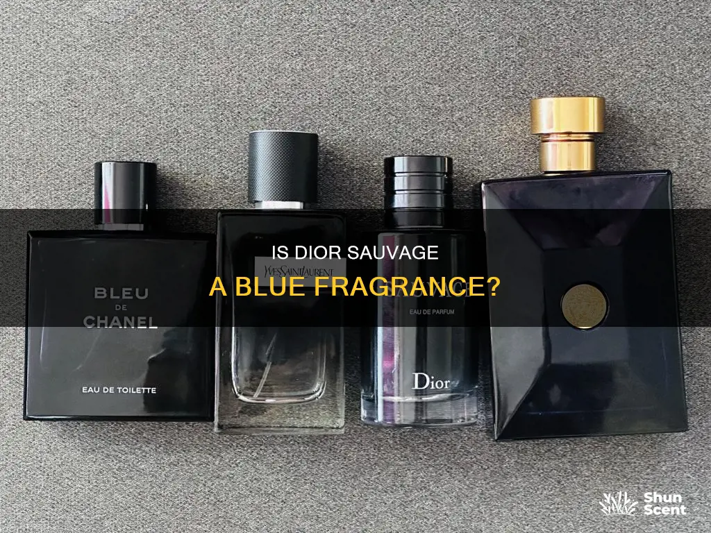 is dior sauvage a blue fragrance