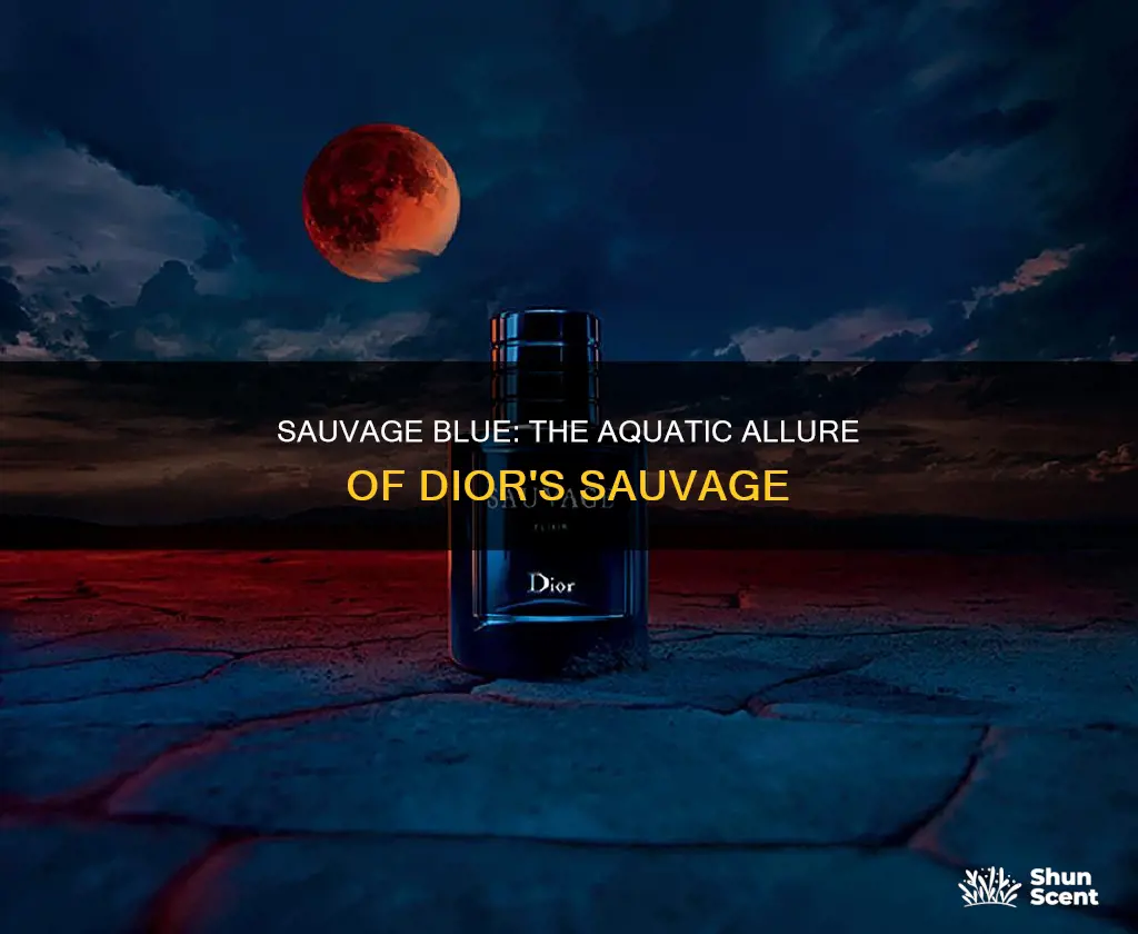 is dior sauvage a blue fragrance